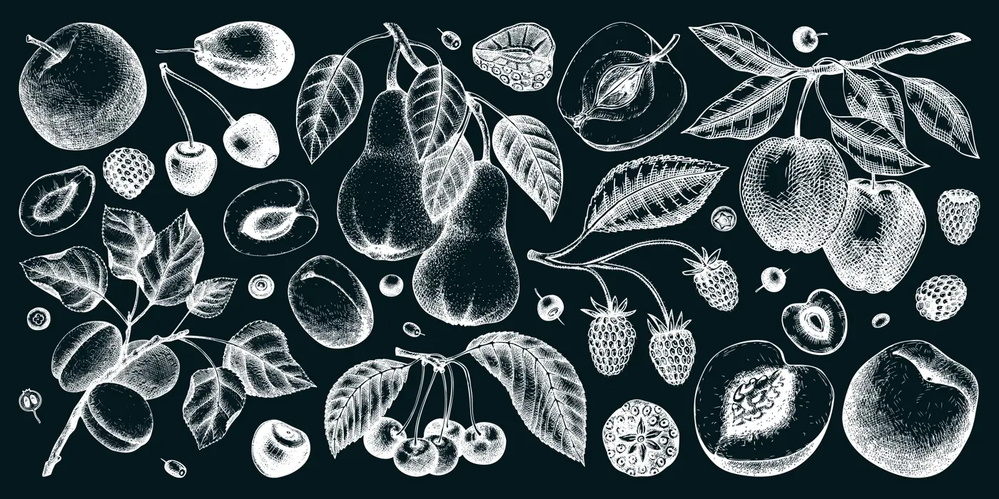 Berry and fruit illustrations set on chalkboard. Hand drawn fruit trees - cherry, plum, apple, peach, apricot, raspberry, strawberry in sketch style. Healthy food drawing in vintage style. Illustration